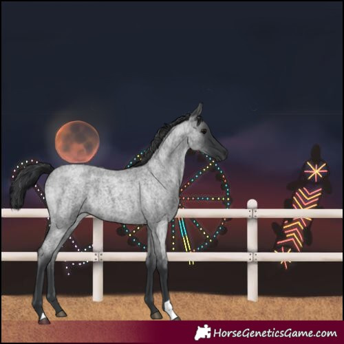 Horse Color:Blue Roan 