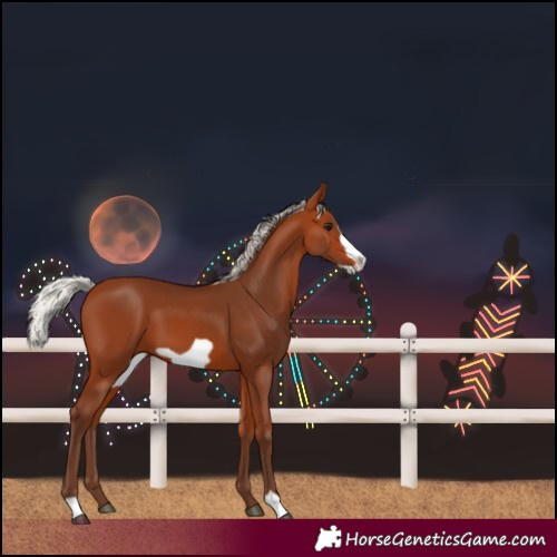 Horse Color:Silver Bay Frame 