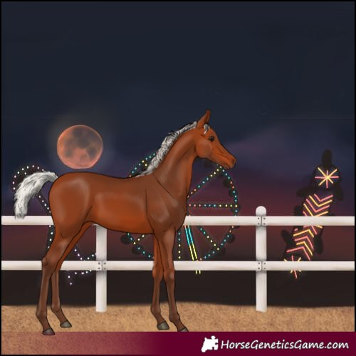 Horse Color:Silver Bay
