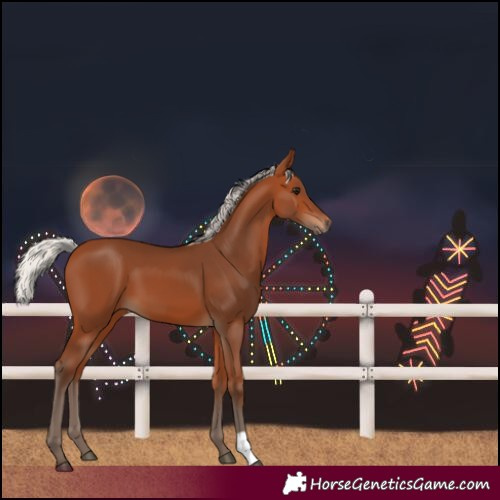 Horse Color:Silver Bay 