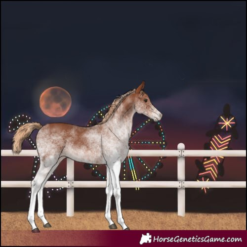 Horse Color:White Spotted Chestnut 