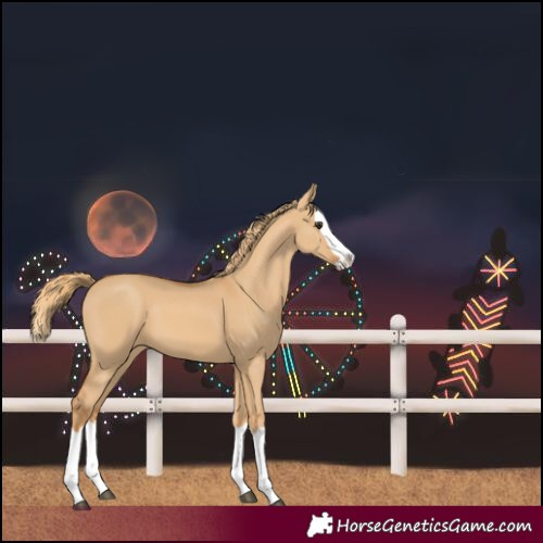 Horse Color:Red Dun Splash 
