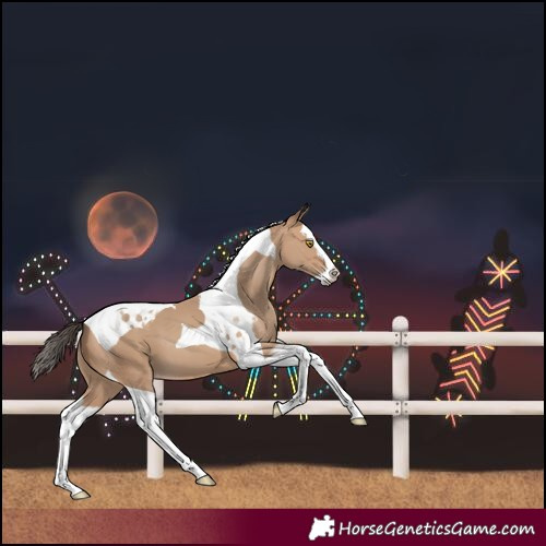 Horse Color:Amber Champagne Splash Tobiano 