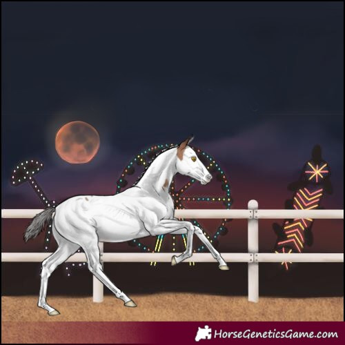 Horse Color:Sable Champagne Splash Tobiano