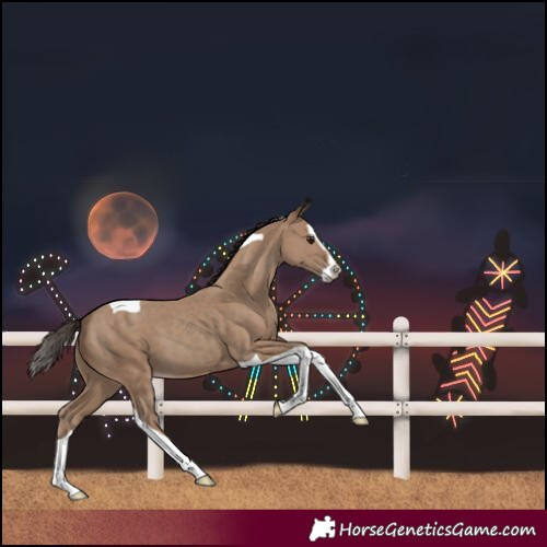 Horse Color:Classic Champagne Splash Tobiano 