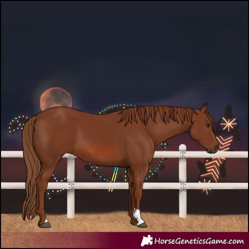 Horse Color:Chestnut 