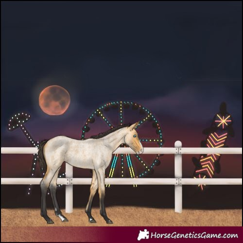 Horse Color:Buckskin Roan Splash 