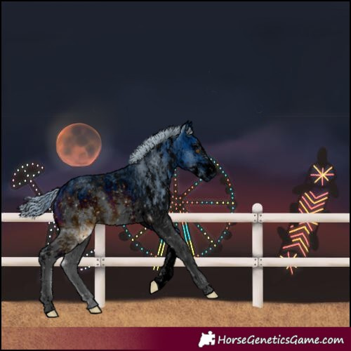 Horse Color:ERROR: UNKNOWN ANOMALY