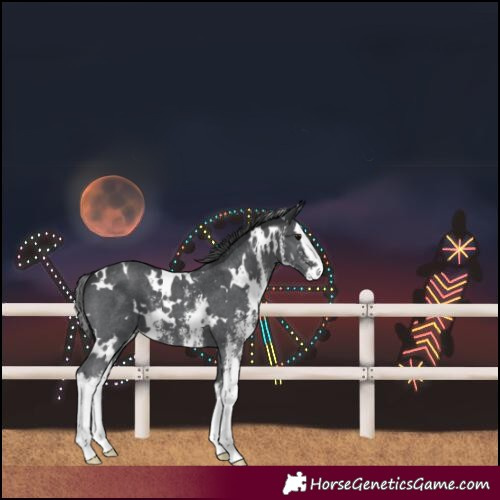 Horse Color:Unknown 