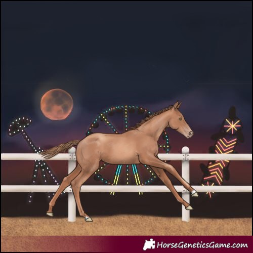 Horse Color:Gold Champagne 