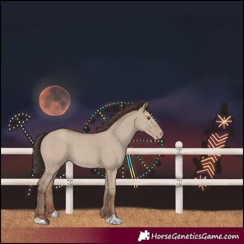 Horse Color:Classic Champagne Dun 