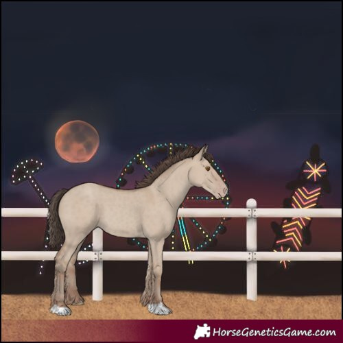 Horse Color:Classic Champagne Dun