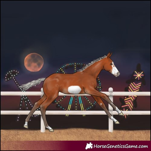 Horse Color:Silver Bay Frame 