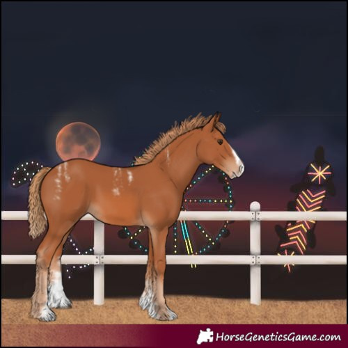 Horse Color:Powder White Chestnut Splash Frame