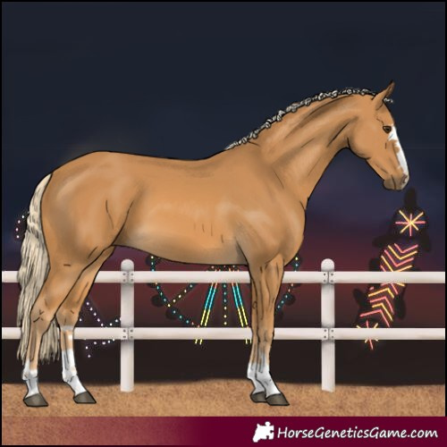 Horse Color:Palomino