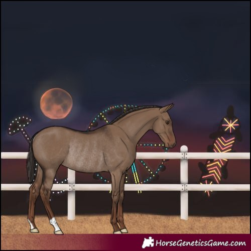 Horse Color:Liver Red Dun Rabicano