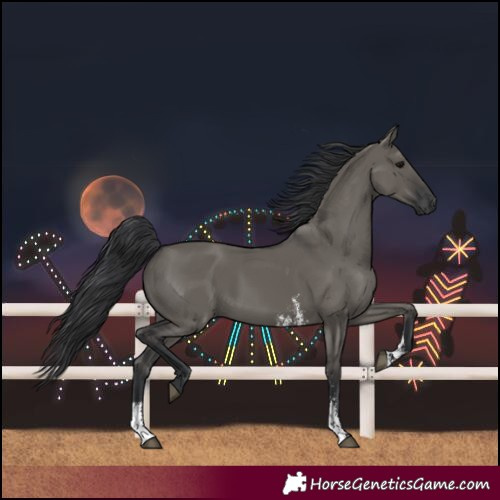 Horse Color:Grullo Sabino Rabicano 