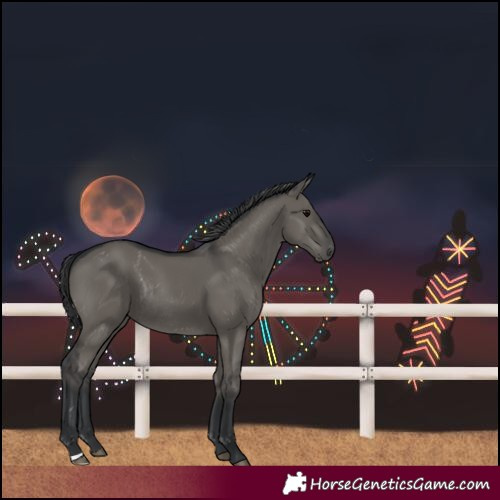Horse Color:Grullo Rabicano 