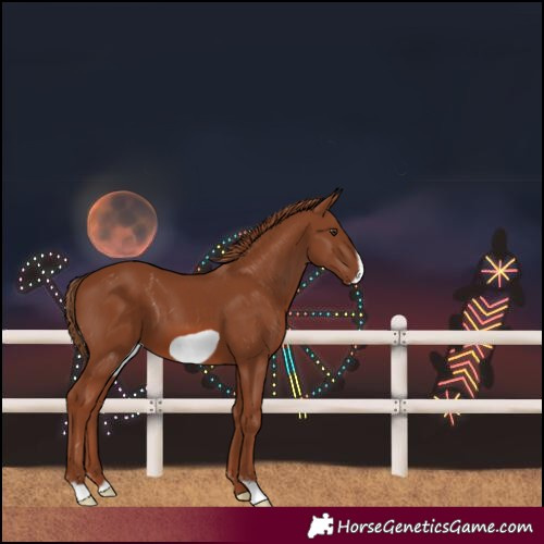 Horse Color:Chestnut Frame