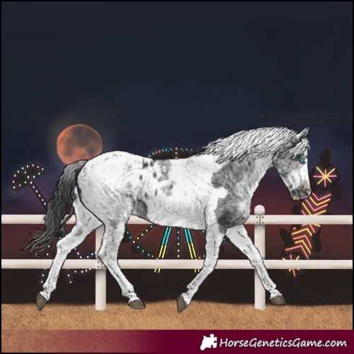 Horse Color:White Spotted Black Splash Tobiano Frame Blanket 