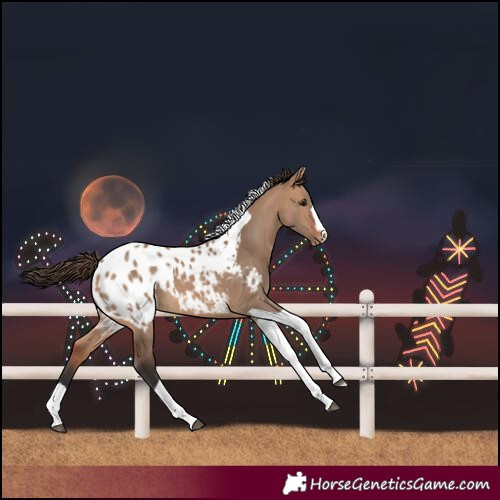 Horse Color:Bay Dun Tobiano Blanket 