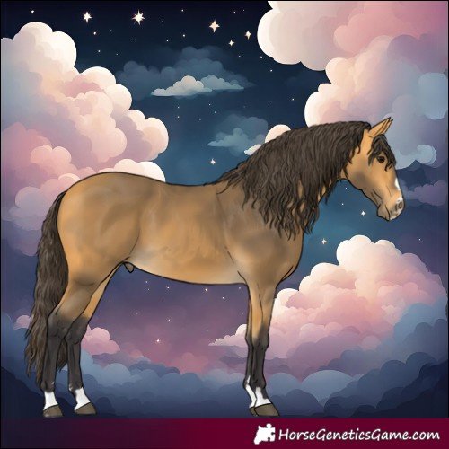 Horse Color:Buckskin 