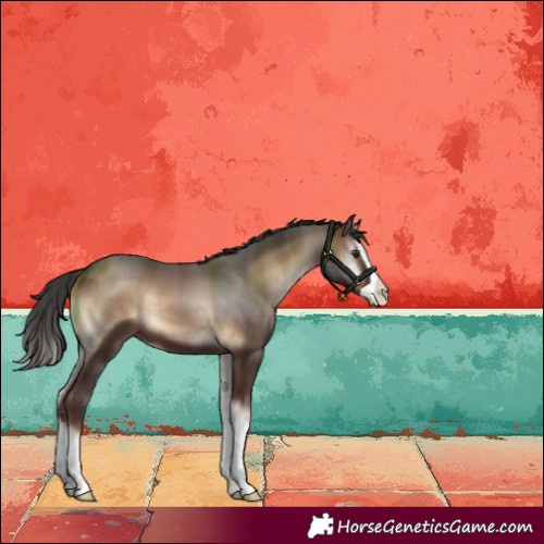 Horse Color:Liver Red Onyx Splash