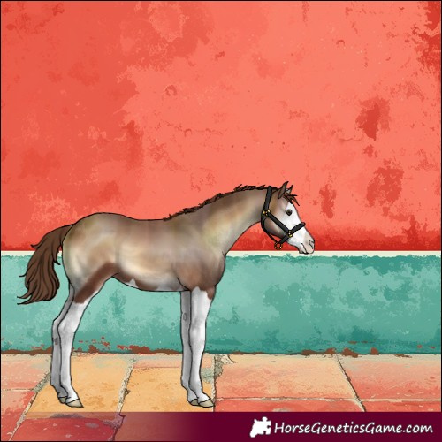 Horse Color:Red Onyx Splash
