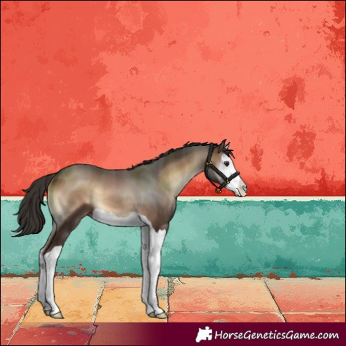 Horse Color:Liver Red Onyx Splash 