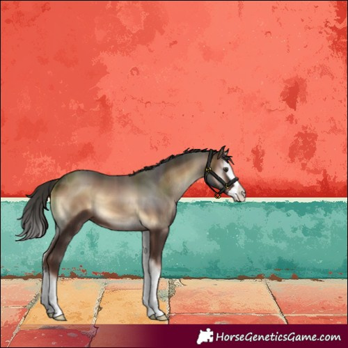 Horse Color:Liver Red Onyx Splash 