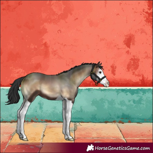 Horse Color:Liver Red Onyx Splash 