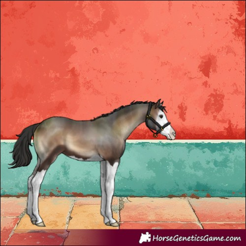 Horse Color:Liver Red Onyx Splash