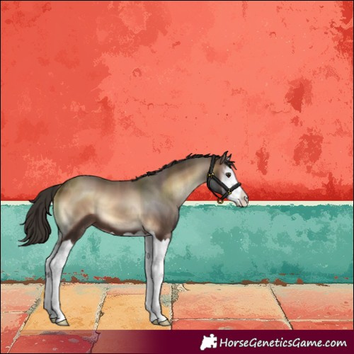 Horse Color:Liver Red Onyx Splash