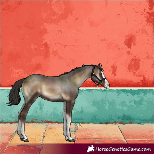 Horse Color:Liver Red Onyx Splash