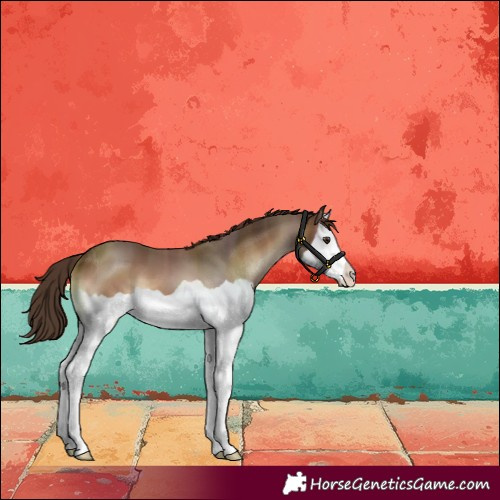 Horse Color:Red Onyx Splash