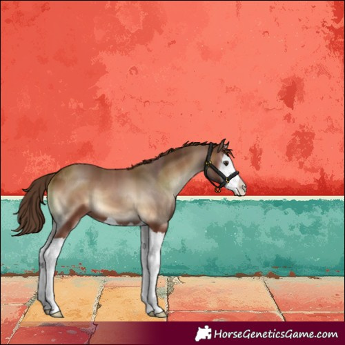 Horse Color:Red Onyx Splash 