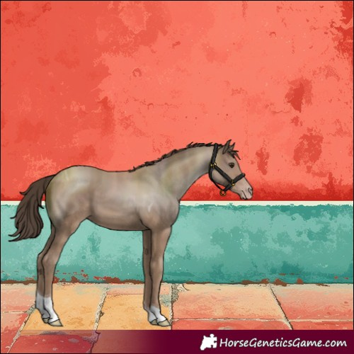 Horse Color:Classic Champagne Tobiano 