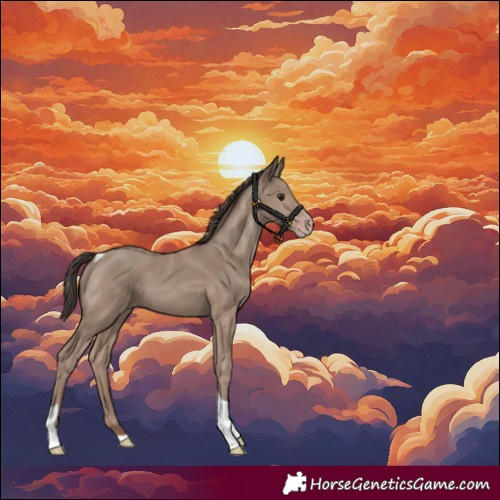 Horse Color:Classic Champagne Tobiano 
