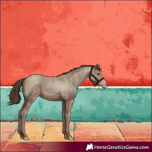 Horse Color:Classic Champagne 