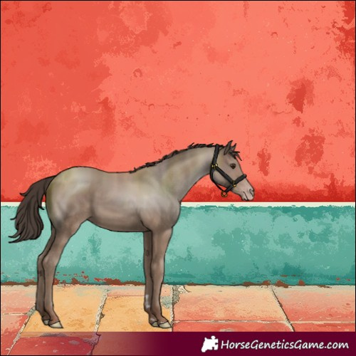 Horse Color:Classic Champagne