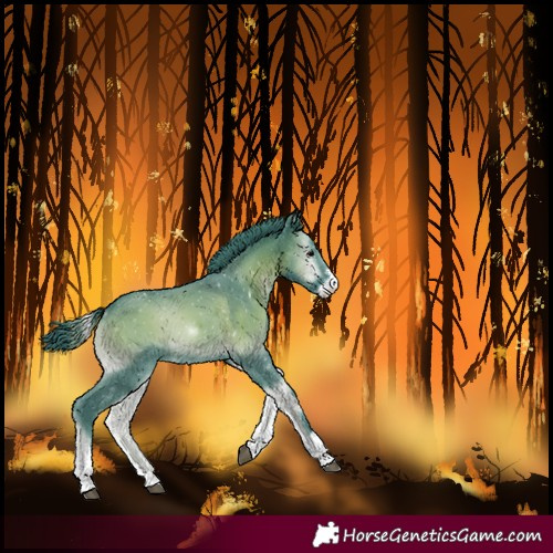 Horse Color:Watercolor Blue Onyx Sabino Tobiano 