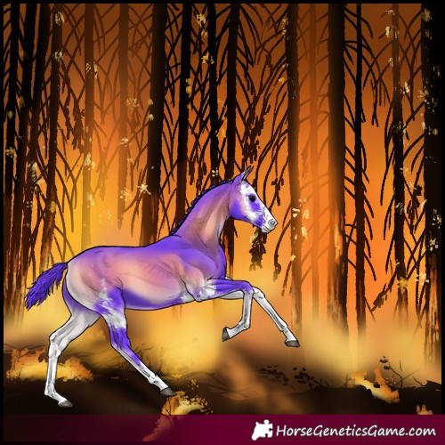 Horse Color:Watercolor Blue Onyx Sabino Rabicano 