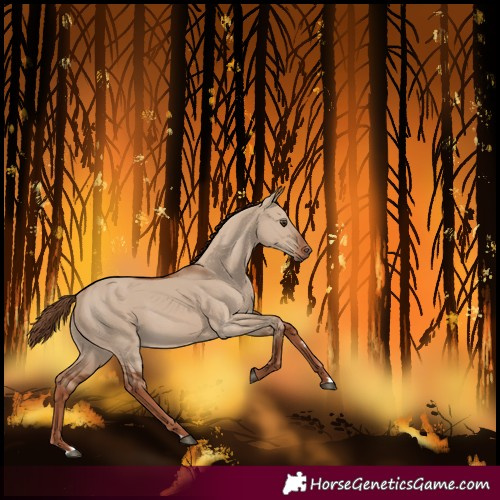 Horse Color:Red Dun 