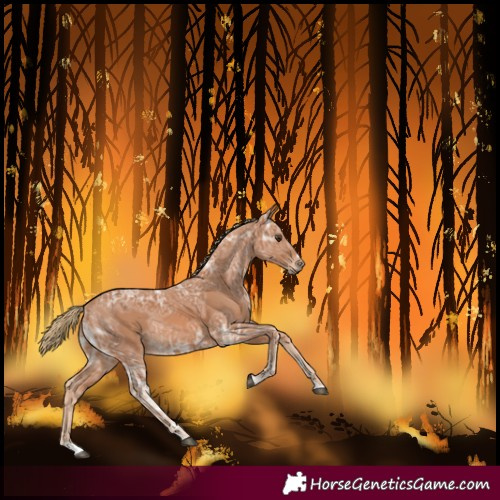 Horse Color:Chestnut Ice 