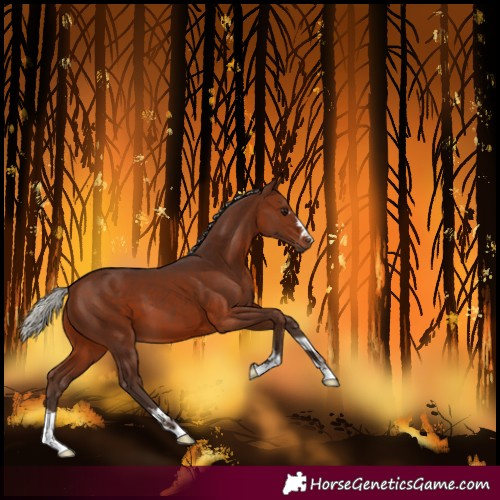 Horse Color:Silver Brown 