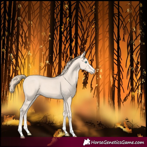Horse Color:Perlino