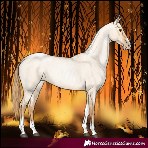 Horse Color:Red Dun Roan Pearl Tobiano Frame 