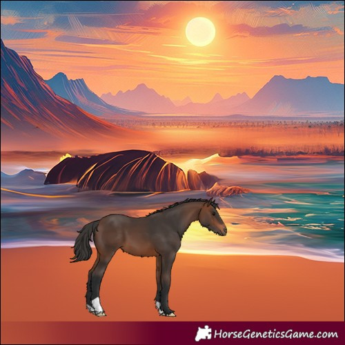 Horse Color:Brown 