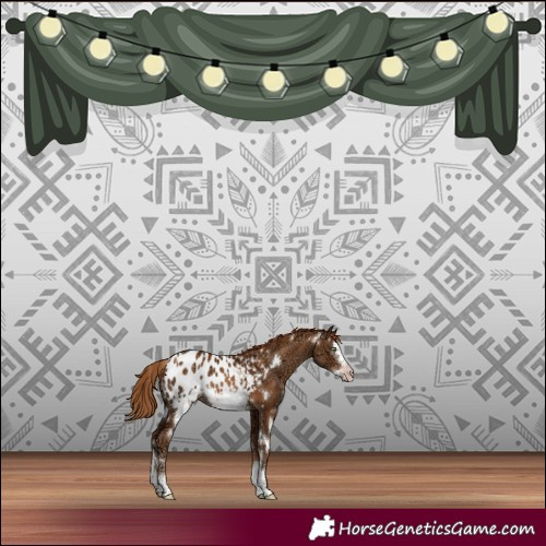 Horse Color:Gray White Spotted Gold Champagne Ice Splash Frame Blanket Rabicano 