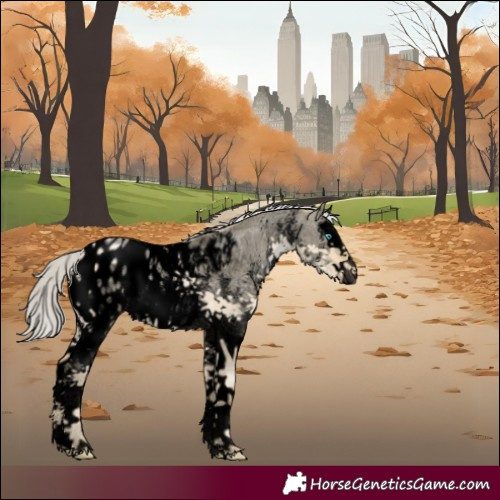 Horse Color:Void White Spotted Silver Smoky Grullo Pearl Sabino Splash Blanket